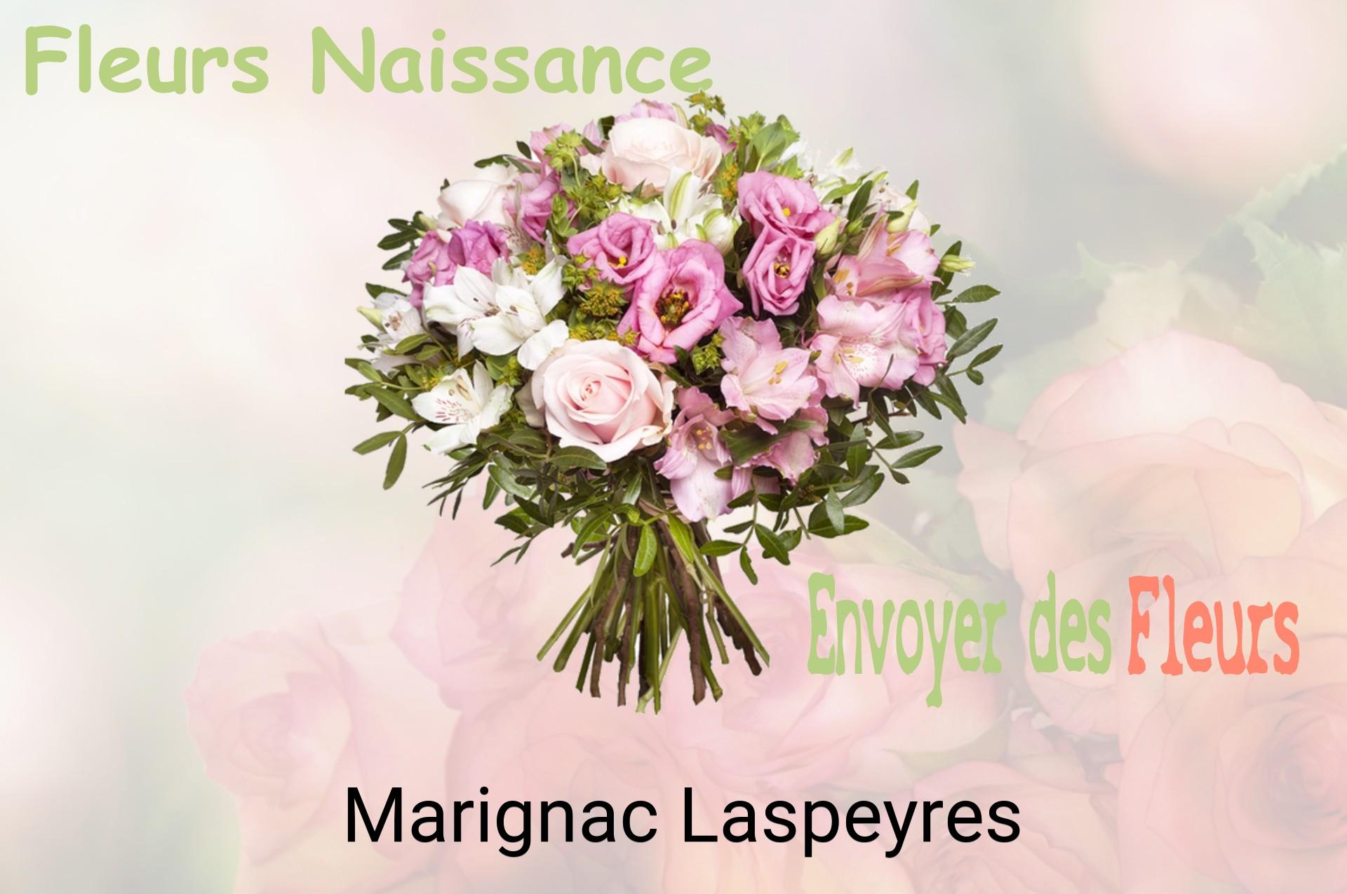 Bouquet de fleurs de naissance livré à Marignac-Laspeyres
